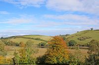 Devon landscape trees, fields and hills under blue sky